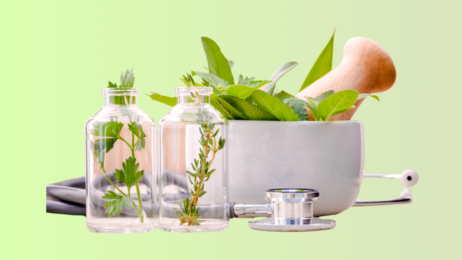 Şifalı Aromatik Bitkiler
